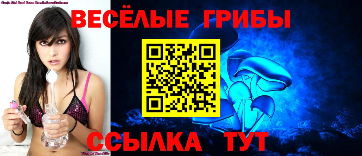 Псилоцибиновые грибы Cubensis  Псилоцибиновые грибы мицелий  Вход с VPN  Миасс 