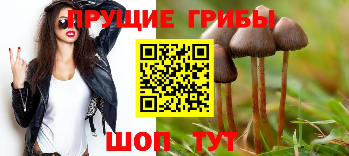 Галлюциногенные грибы GOLDEN TEACHER Миасс